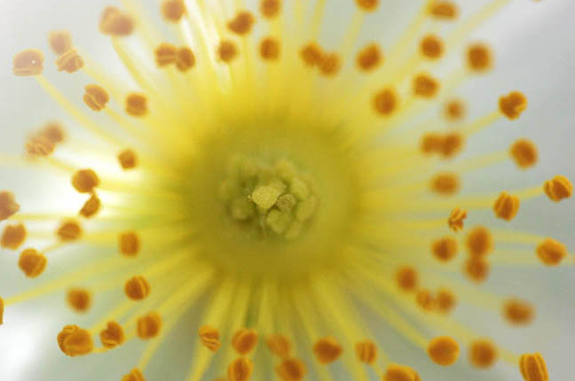 slider_photo1_mobile